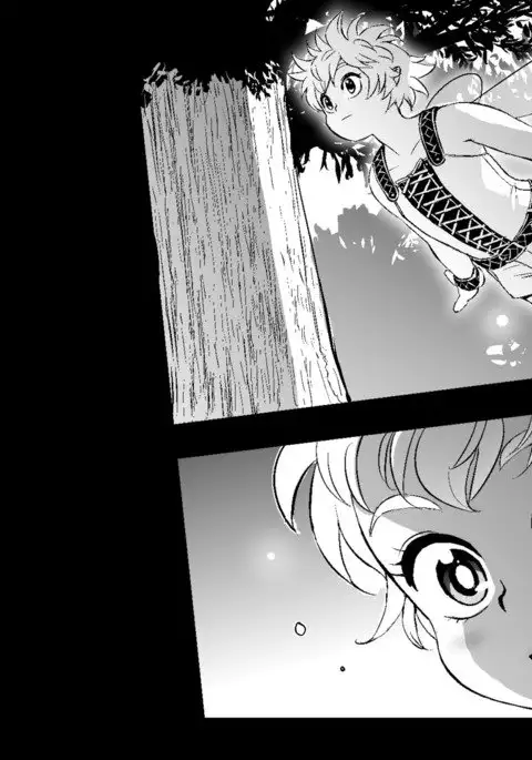 フェアリーセティ