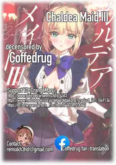 Chaldea Maid III