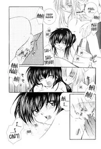 (C66) [Sakurakan (Seriou Sakura)] Junai Romanesque (Inuyasha) [English] [EHCove]