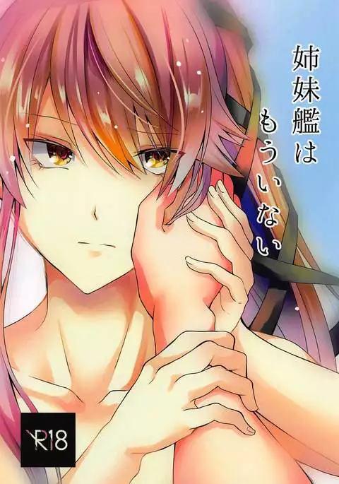 姉妹艦はもういない