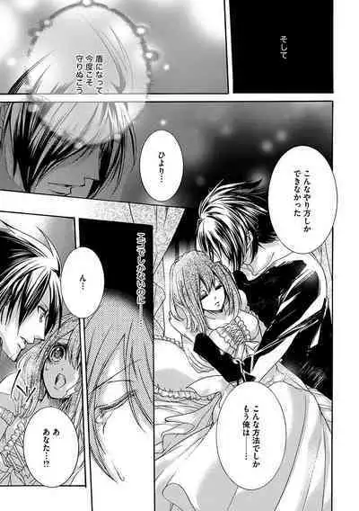 鬼畜兄弟の悶絶調教～私はいいなり奴隷～