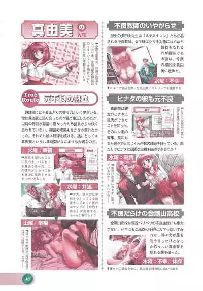 Official Alicesoft Full Completion Guide 2 (PC-CUPID)