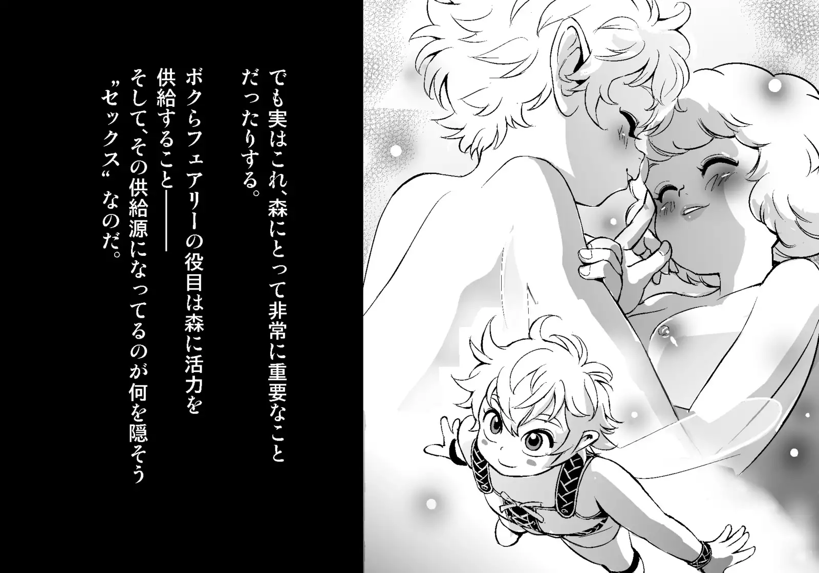 フェアリーセティ