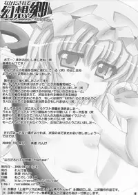 [れんげ堂] なかだされて幻想卿 Phantasm (Touhou)