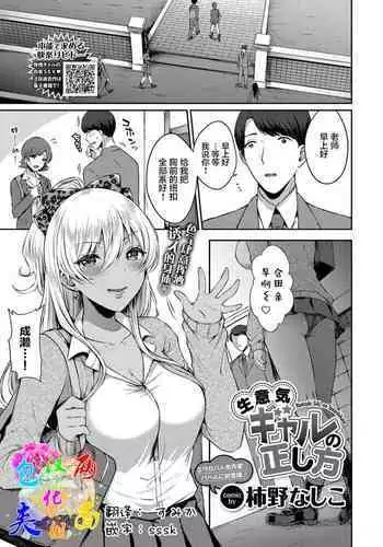 Namaiki Gal no Tadashikata