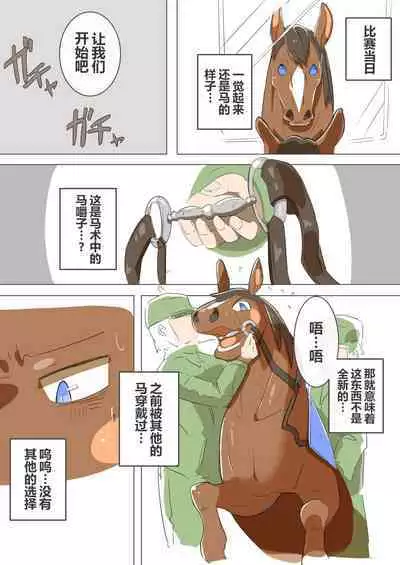 有秘密的竞赛马