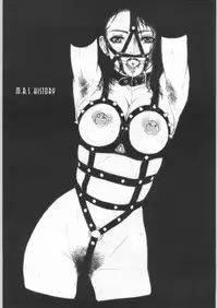 (C60) [M (Amano Ameno, LINDA, MARUTA)] M.R.S