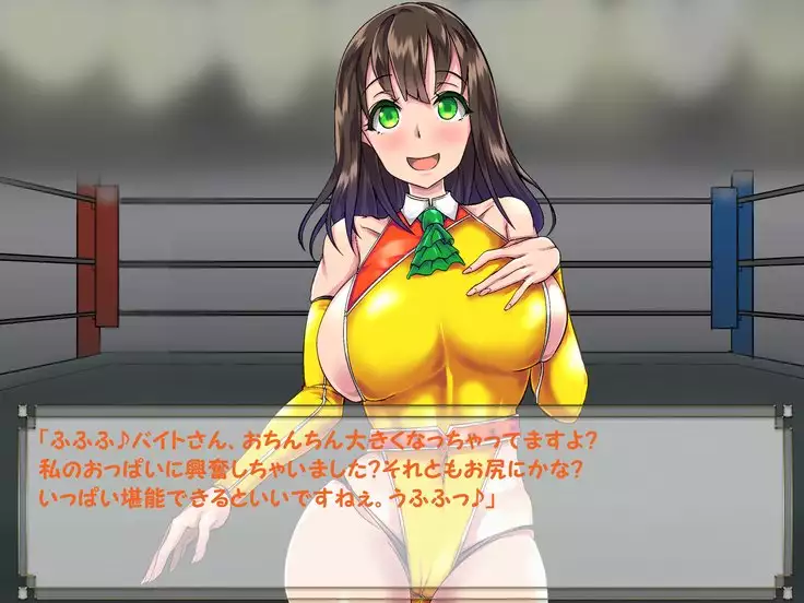 ドMプロレス2 画像集