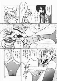 [Benjamin] Stray Sheep