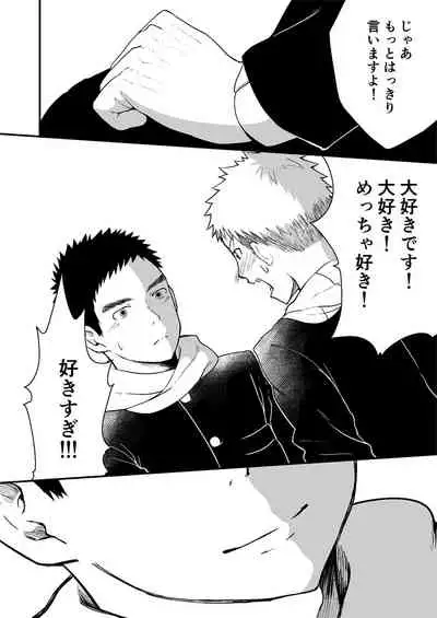 Sukoshi to Ippai no Seishun