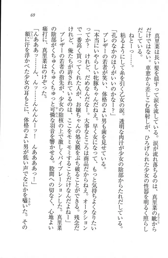 解放区～痴漢ハーレム