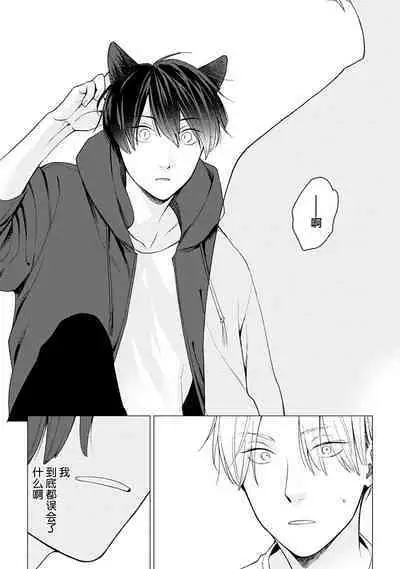 恋爱中的猫咪想被抚摸