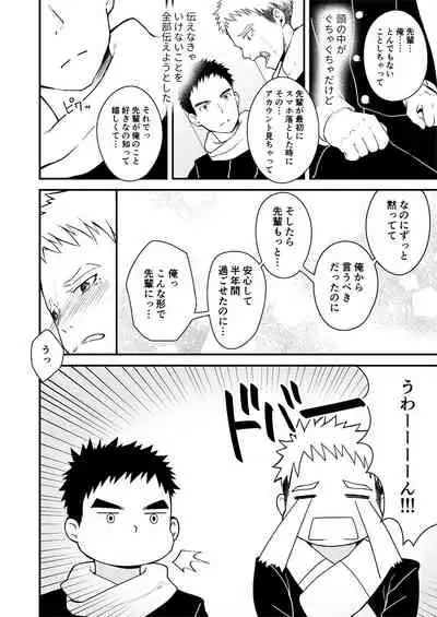 Sukoshi to Ippai no Seishun