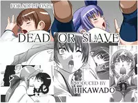 [Hikawadou (Hinokawa Jun)] Dead or Slave (Dead or Alive)