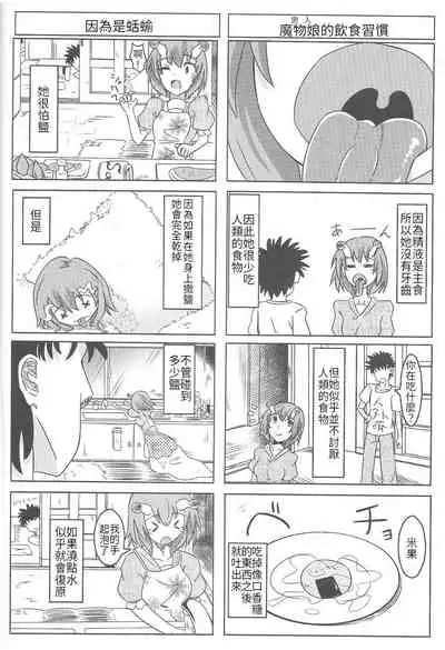 Watashi no Koibito o Shoukai Shimasu! Soushuuhen