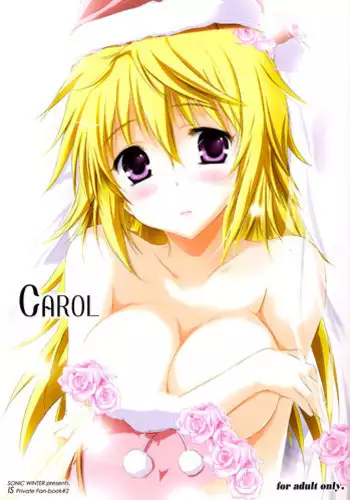(C81) [SONIC WINTER (Tsukishima Kai)] Carol (Infinite Stratos) [English]