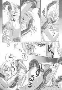 (C68) [RUBY FRUIT (Kotoduki Z)] Seijo Shokujoku (Fate/stay night)