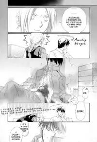 [Ronno & Kalus (Takada Bambi)] Hermaphrodite 9 (Fullmetal Alchemist) [English] [Secret Garden]