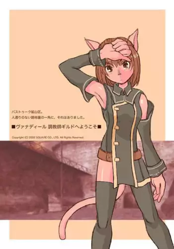 [NEXTwith] Vanadiel choukyoushi guild he youkoso