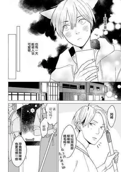 恋爱中的猫咪想被抚摸