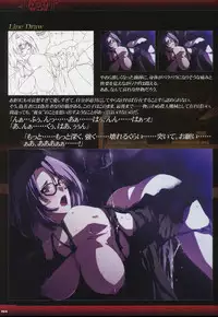 Dies irae Visual Fanbook - Black Book