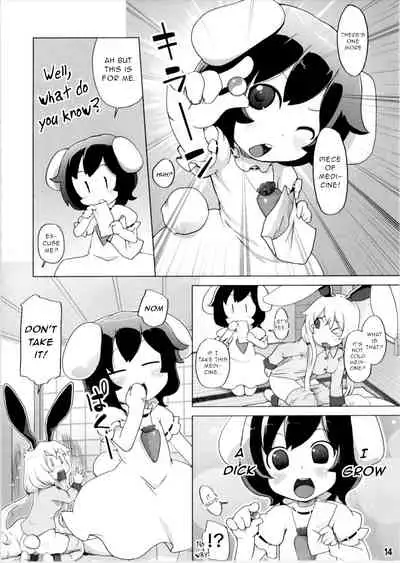 Kazehiki Usagi to Miru Usagi.