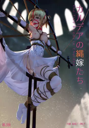 (C95) [Nawairo Sonata (Himitsu)] Chaldea no Nawa Yome-Tachi (Fate/Grand Order)