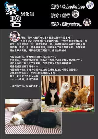 Oshikake Nyanko | 不请自来的小猫