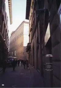 (C81) [TRI-MOON! (Mikazuki Akira!)] SENO (Mahou Shoujo Lyrical Nanoha)