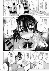 (C87) [IncluDe (Foolest)] Ookina Usagi Chiisana Usagi (Touhou Project)