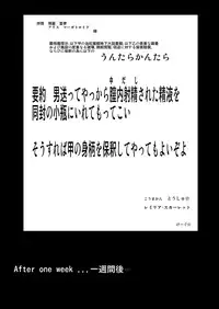 (C87) [Stick Number (Korone Shousa)] Gensoukyou Seifuuzoku Jijou (Touhou Project)