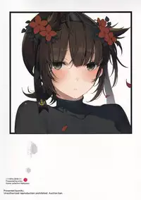 (C95) [Oishii Oniku. (Oniku.)] Summary (Kantai Collection -KanColle-)