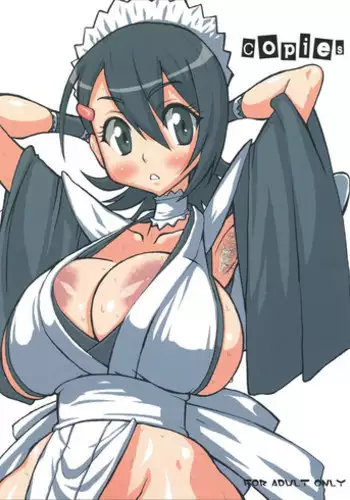 [Hobb's End] copies (Samurai Spirits)