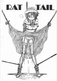 (SC46) [RAT TAIL (IRIE YAMAZAKI)] HAYATE FILE Maria Gazoushuu (Hayate no Gotoku!)