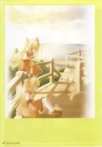 clover heart's visual fan book