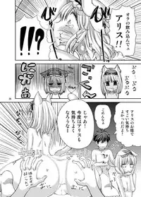 [Nipakupa (Cream)] H na Nyarisu no Tsukurikata. (Touhou Project) [Digital]