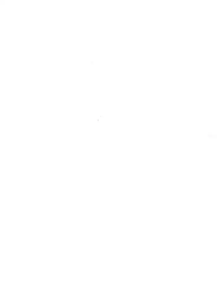 Paradox Smoke Zenpen | lento humo. parte uno.