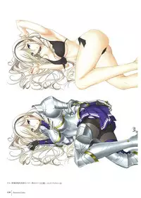 Walkure Romanze Visual Fan Book