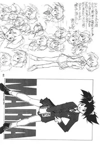 (C50) [PEACE MAKER (E=MC2)] JUNKY'S JUNKS (Various)