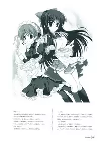 Walkure Romanze Visual Fan Book