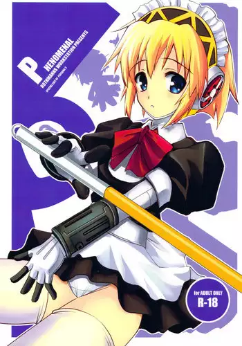 [R-WORKS] PHENOMENAL (P3)