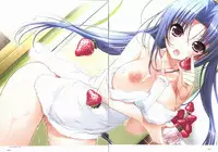 Sakura Sakura Visual Fan Book