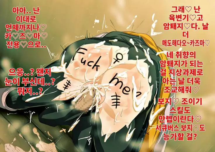 벽 엉덩이 다크니스