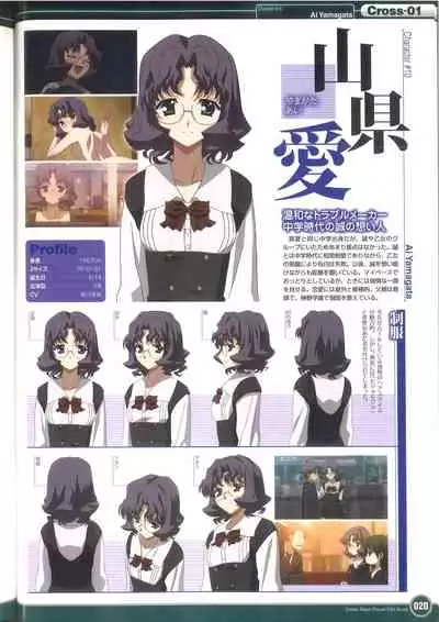 Cross Days Visual Fan Book