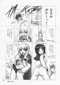 (C70) [Budou Bekkan (Donan)] Louise Sensei Rippuku (Zero no Tsukaima)