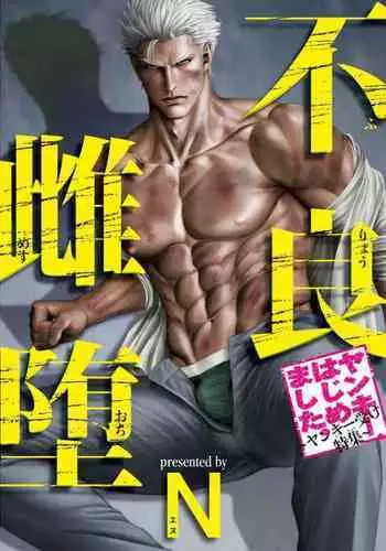 [N] Furyou Mesu Ochi [English] [Digital]