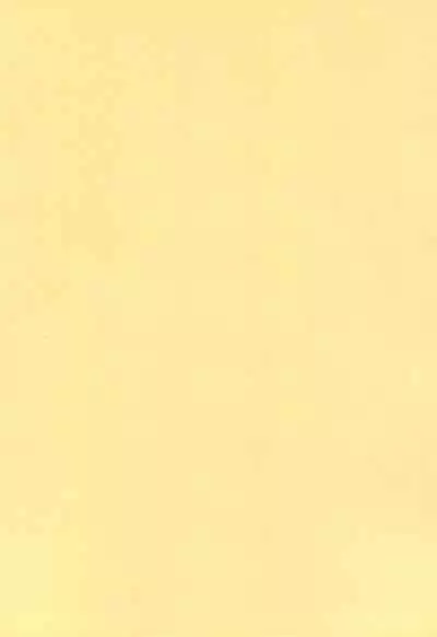 (C67) [Gutari-ya (Various)] Peta-Fuyo-Tayun