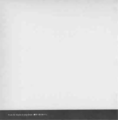 深い森の影から