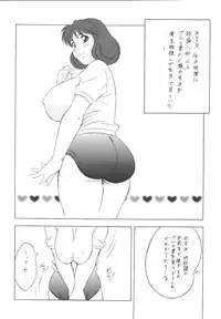 (CR33) [Rippadou (H-H)] H-H Soushuuhen 2 (Various)