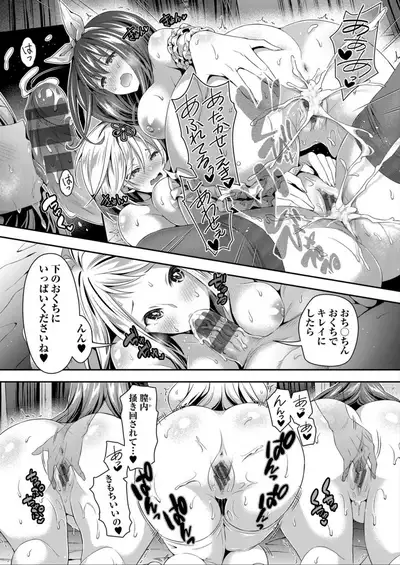 Harem Maid No Damedame Ecchi